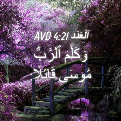 Picture 04 - اَلْعَدَد 4:21 AVD - وَكَلَّمَ ٱلرَّبُّ مُوسَى - Bible Verse Picture