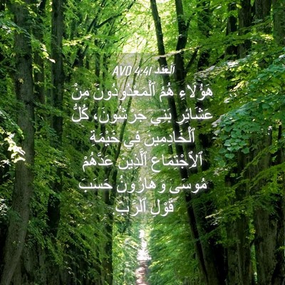 Picture 04 - اَلْعَدَد 4:41 AVD - هَؤُلَاءِ هُمُ - Bible Verse Picture