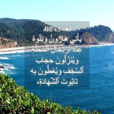 Picture 04 - اَلْعَدَد 4:5 AVD - يَأْتِي هَارُونُ - Bible Verse Picture