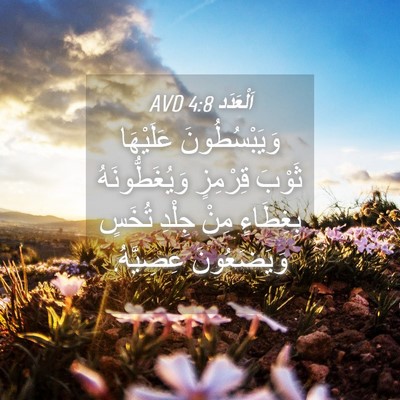 Picture 04 - اَلْعَدَد 4:8 AVD - وَيَبْسُطُونَ عَلَيْهَا - Bible Verse Picture