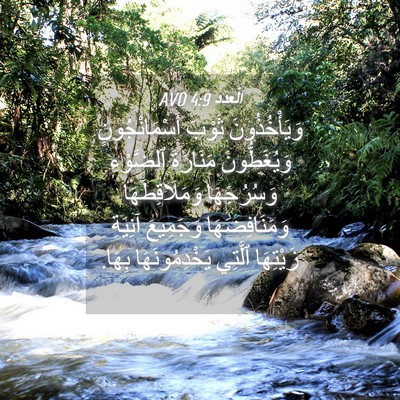 Picture 04 - اَلْعَدَد 4:9 AVD - وَيَأْخُذُونَ ثَوْبَ - Bible Verse Picture