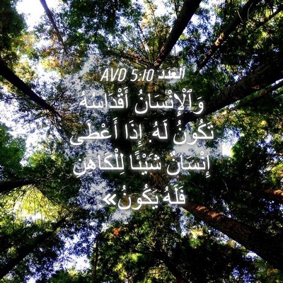 Picture 04 - اَلْعَدَد 5:10 AVD - وَٱلْإِنْسَانُ - Bible Verse Picture