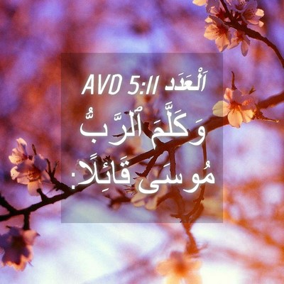 Picture 04 - اَلْعَدَد 5:11 AVD - وَكَلَّمَ ٱلرَّبُّ مُوسَى - Bible Verse Picture