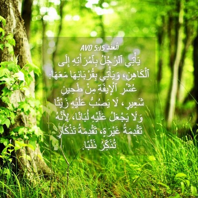Picture 04 - اَلْعَدَد 5:15 AVD - يَأْتِي ٱلرَّجُلُ - Bible Verse Picture