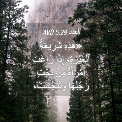 Picture 04 - اَلْعَدَد 5:29 AVD - «هَذِهِ شَرِيعَةُ - Bible Verse Picture
