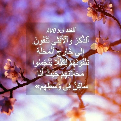 Picture 04 - اَلْعَدَد 5:3 AVD - ٱلذَّكَرَ وَٱلْأُنْثَى - Bible Verse Picture