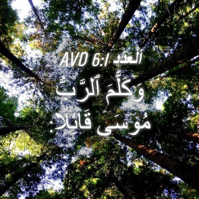 Picture 04 - اَلْعَدَد 6:1 AVD - وَكَلَّمَ ٱلرَّبُّ مُوسَى - Bible Verse Picture