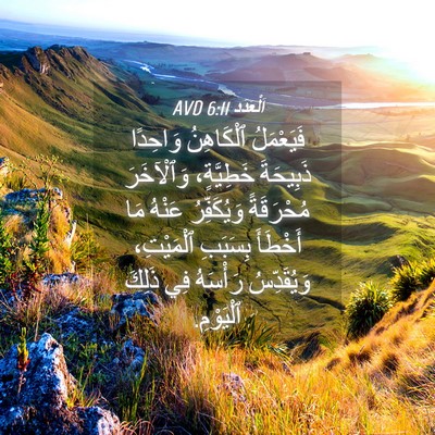 Picture 04 - اَلْعَدَد 6:11 AVD - فَيَعْمَلُ ٱلْكَاهِنُ - Bible Verse Picture