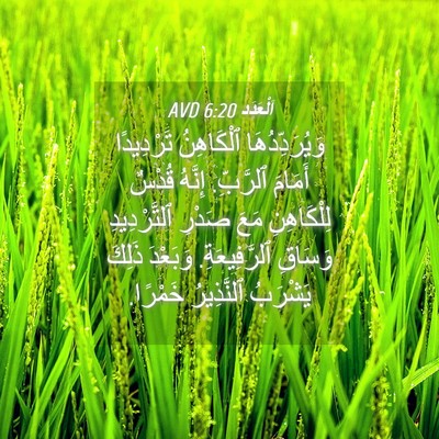Picture 04 - اَلْعَدَد 6:20 AVD - وَيُرَدِّدُهَا ٱلْكَاهِنُ - Bible Verse Picture
