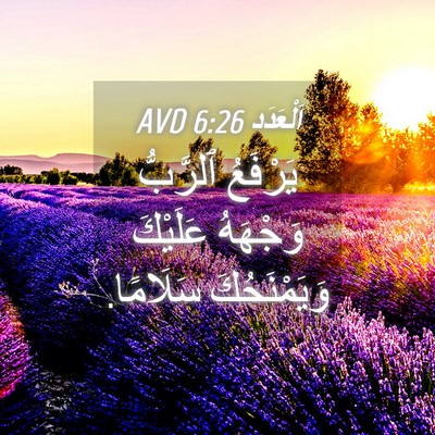 Picture 04 - اَلْعَدَد 6:26 AVD - يَرْفَعُ ٱلرَّبُّ - Bible Verse Picture