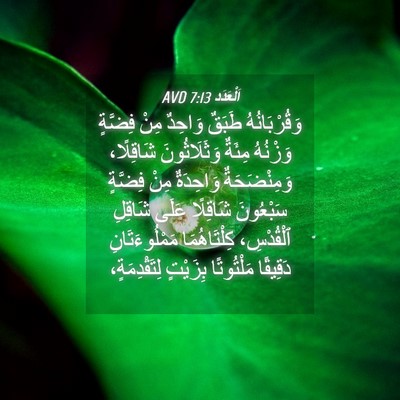 Picture 04 - اَلْعَدَد 7:13 AVD - وَقُرْبَانُهُ طَبَقٌ - Bible Verse Picture