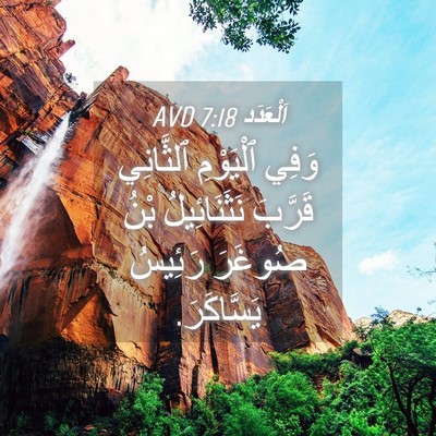 Picture 04 - اَلْعَدَد 7:18 AVD - وَفِي ٱلْيَوْمِ ٱلثَّانِي - Bible Verse Picture