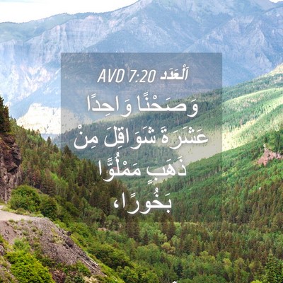 Picture 04 - اَلْعَدَد 7:20 AVD - وَصَحْنًا وَاحِدًا - Bible Verse Picture