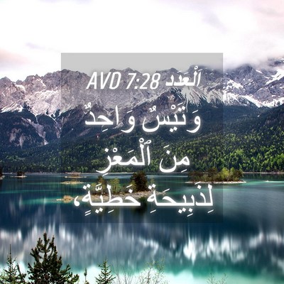 Picture 04 - اَلْعَدَد 7:28 AVD - وَتَيْسٌ وَاحِدٌ مِنَ - Bible Verse Picture