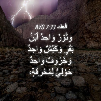 Picture 04 - اَلْعَدَد 7:33 AVD - وَثَوْرٌ وَاحِدٌ ٱبْنُ - Bible Verse Picture