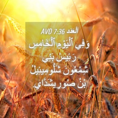 Picture 04 - اَلْعَدَد 7:36 AVD - وَفِي ٱلْيَوْمِ - Bible Verse Picture