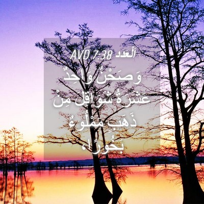 Picture 04 - اَلْعَدَد 7:38 AVD - وَصَحْنٌ وَاحِدٌ عَشَرَةُ - Bible Verse Picture