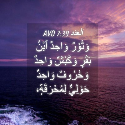 Picture 04 - اَلْعَدَد 7:39 AVD - وَثَوْرٌ وَاحِدٌ ٱبْنُ - Bible Verse Picture