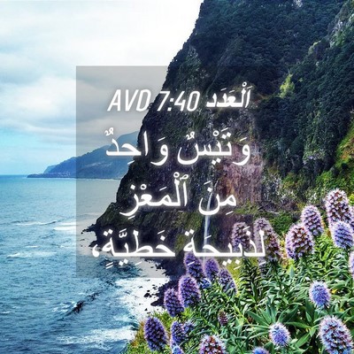Picture 04 - اَلْعَدَد 7:40 AVD - وَتَيْسٌ وَاحِدٌ مِنَ - Bible Verse Picture