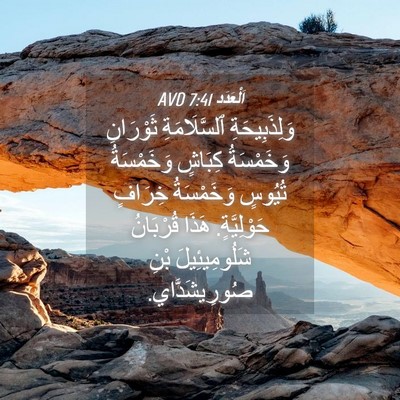 Picture 04 - اَلْعَدَد 7:41 AVD - وَلِذَبِيحَةِ - Bible Verse Picture