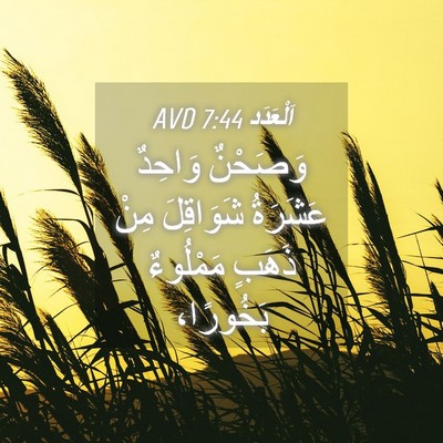 Picture 04 - اَلْعَدَد 7:44 AVD - وَصَحْنٌ وَاحِدٌ عَشَرَةُ - Bible Verse Picture