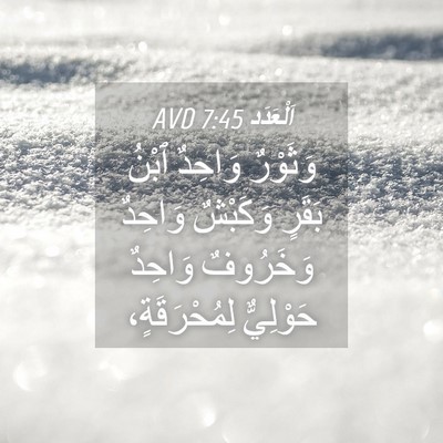 Picture 04 - اَلْعَدَد 7:45 AVD - وَثَوْرٌ وَاحِدٌ ٱبْنُ - Bible Verse Picture