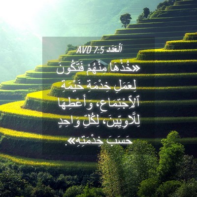 Picture 04 - اَلْعَدَد 7:5 AVD - «خُذْهَا مِنْهُمْ - Bible Verse Picture