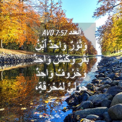 Picture 04 - اَلْعَدَد 7:57 AVD - وَثَوْرٌ وَاحِدٌ ٱبْنُ - Bible Verse Picture