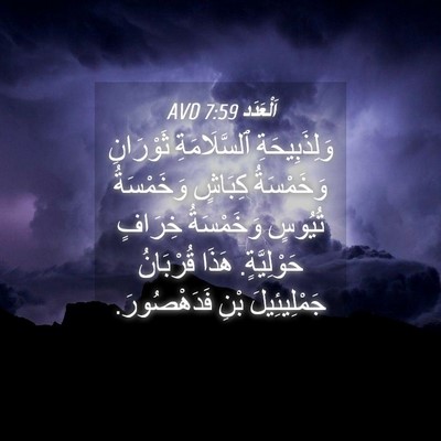 Picture 04 - اَلْعَدَد 7:59 AVD - وَلِذَبِيحَةِ - Bible Verse Picture