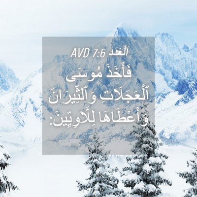 Picture 04 - اَلْعَدَد 7:6 AVD - فَأَخَذَ مُوسَى - Bible Verse Picture