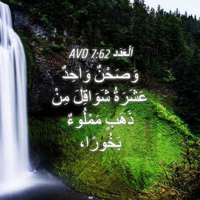 Picture 04 - اَلْعَدَد 7:62 AVD - وَصَحْنٌ وَاحِدٌ عَشَرَةُ - Bible Verse Picture