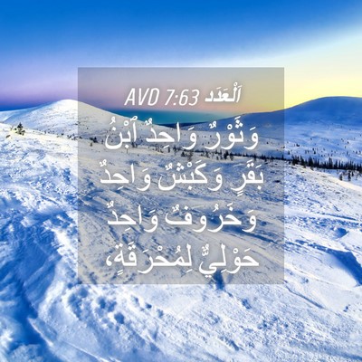 Picture 04 - اَلْعَدَد 7:63 AVD - وَثَوْرٌ وَاحِدٌ ٱبْنُ - Bible Verse Picture