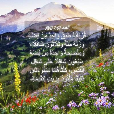 Picture 04 - اَلْعَدَد 7:67 AVD - قُرْبَانُهُ طَبَقٌ - Bible Verse Picture