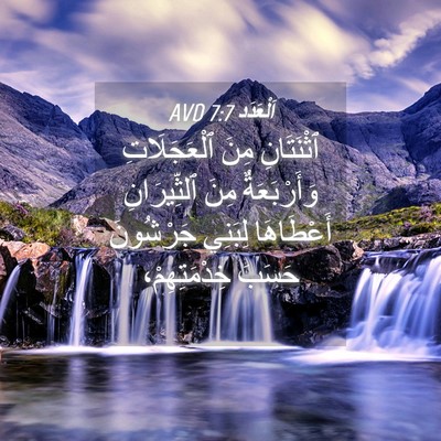 Picture 04 - اَلْعَدَد 7:7 AVD - ٱثْنَتَانِ مِنَ - Bible Verse Picture
