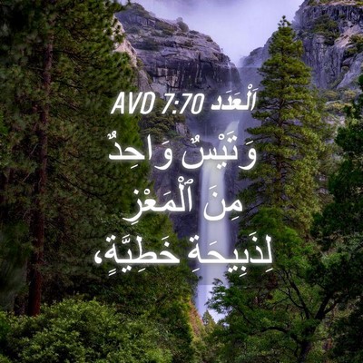 Picture 04 - اَلْعَدَد 7:70 AVD - وَتَيْسٌ وَاحِدٌ مِنَ - Bible Verse Picture