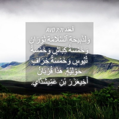 Picture 04 - اَلْعَدَد 7:71 AVD - وَلِذَبِيحَةِ - Bible Verse Picture