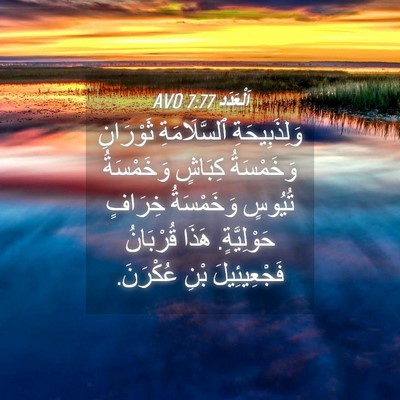 Picture 04 - اَلْعَدَد 7:77 AVD - وَلِذَبِيحَةِ - Bible Verse Picture