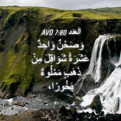 Picture 04 - اَلْعَدَد 7:80 AVD - وَصَحْنٌ وَاحِدٌ عَشَرَةُ - Bible Verse Picture