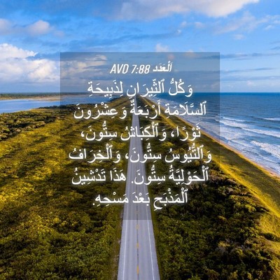 Picture 04 - اَلْعَدَد 7:88 AVD - وَكُلُّ ٱلثِّيرَانِ - Bible Verse Picture