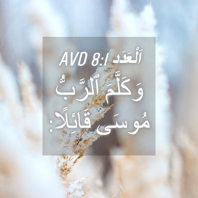 Picture 04 - اَلْعَدَد 8:1 AVD - وَكَلَّمَ ٱلرَّبُّ مُوسَى - Bible Verse Picture