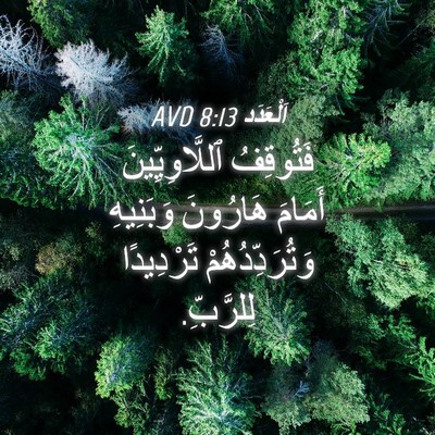 Picture 04 - اَلْعَدَد 8:13 AVD - فَتُوقِفُ ٱللَّاوِيِّينَ - Bible Verse Picture