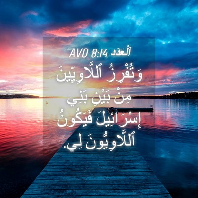 Picture 04 - اَلْعَدَد 8:14 AVD - وَتُفْرِزُ ٱللَّاوِيِّينَ - Bible Verse Picture