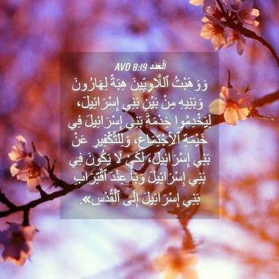 Picture 04 - اَلْعَدَد 8:19 AVD - وَوَهَبْتُ ٱللَّاوِيِّينَ - Bible Verse Picture