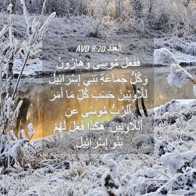 Picture 04 - اَلْعَدَد 8:20 AVD - فَفَعَلَ مُوسَى - Bible Verse Picture