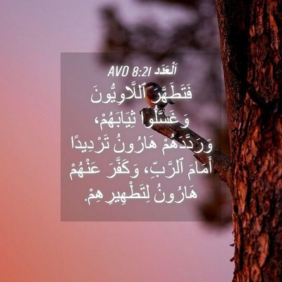Picture 04 - اَلْعَدَد 8:21 AVD - فَتَطَهَّرَ - Bible Verse Picture