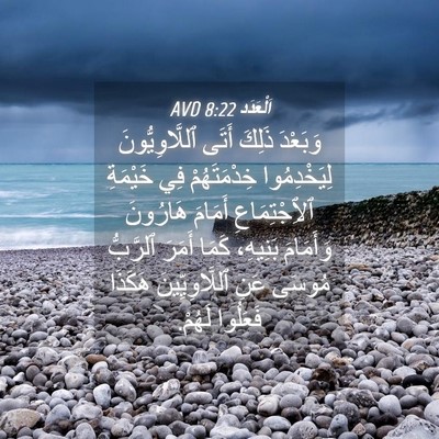 Picture 04 - اَلْعَدَد 8:22 AVD - وَبَعْدَ ذَلِكَ أَتَى - Bible Verse Picture
