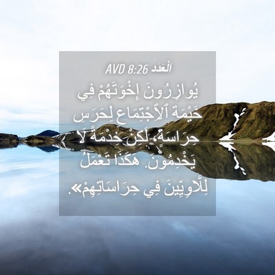 Picture 04 - اَلْعَدَد 8:26 AVD - يُوازِرُونَ إِخْوَتَهُمْ - Bible Verse Picture