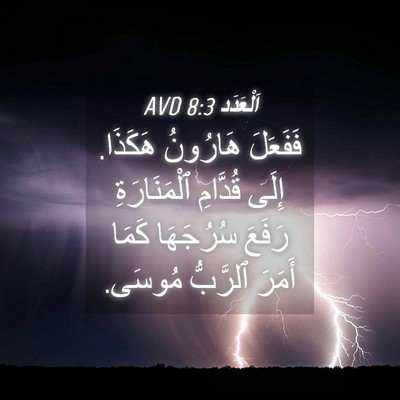 Picture 04 - اَلْعَدَد 8:3 AVD - فَفَعَلَ هَارُونُ هَكَذَا. - Bible Verse Picture
