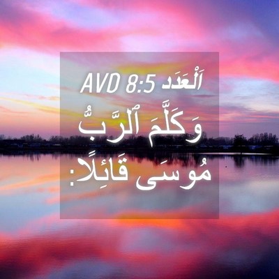 Picture 04 - اَلْعَدَد 8:5 AVD - وَكَلَّمَ ٱلرَّبُّ مُوسَى - Bible Verse Picture