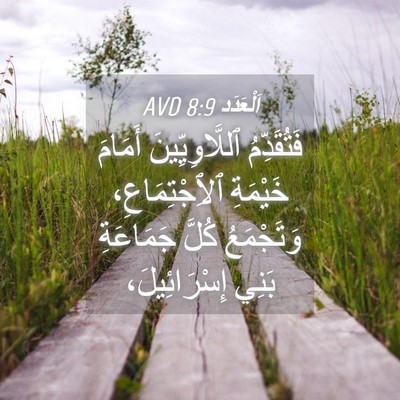 Picture 04 - اَلْعَدَد 8:9 AVD - فَتُقَدِّمُ - Bible Verse Picture